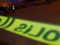 3 katlı villayı kenevir tarlasına çevirmişler