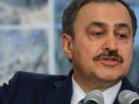 'Petshoplarda hayvan satışı yasaklanacak'