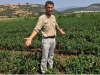 Çiftçi sayısı 624 bin azaldı