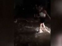 Bodrum'da 10 cm tsunami dalgası
