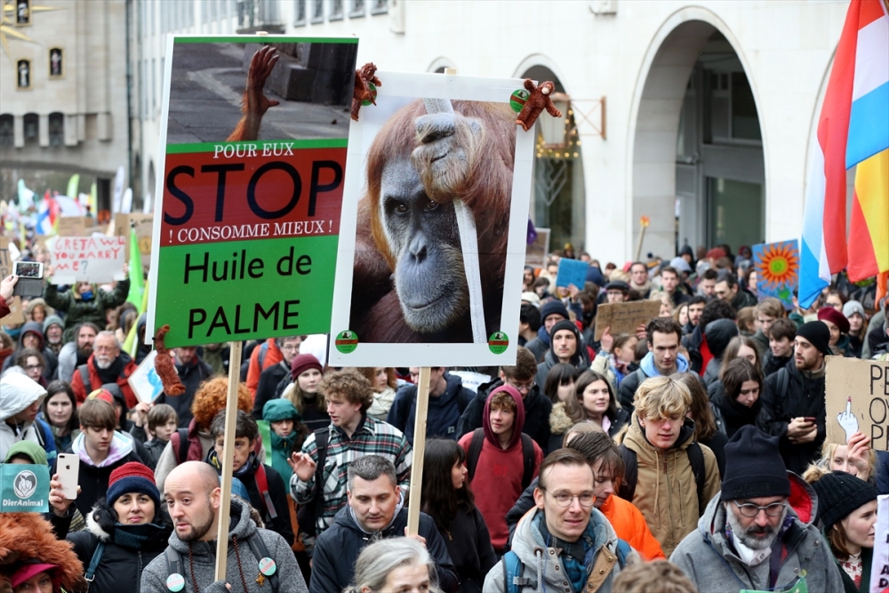 İklim protestosuna binlerce kişi katıldı 17