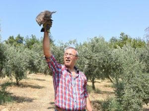 Eski ataşe, Türkiye'de organik tarıma başladı