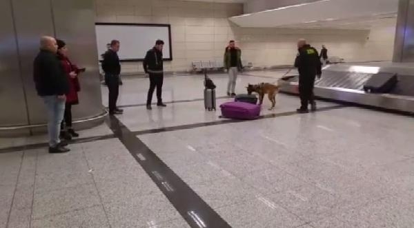 Hollandalı turistler köpekle arandı 3