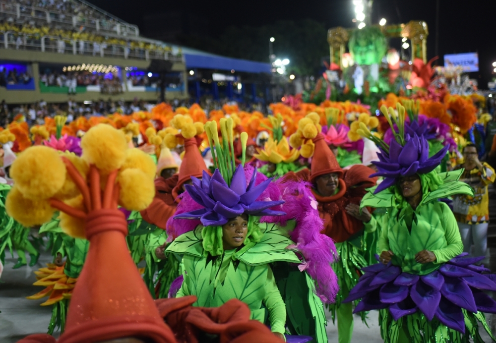 Rio Karnavalı'ndan renkli kareler 15