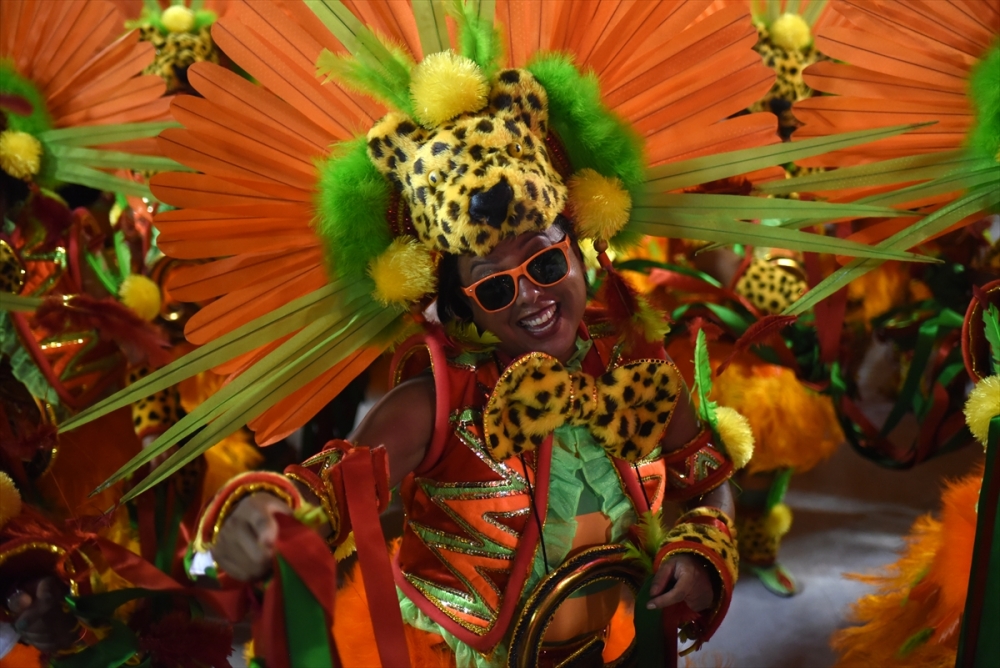 Rio Karnavalı'ndan renkli kareler 26
