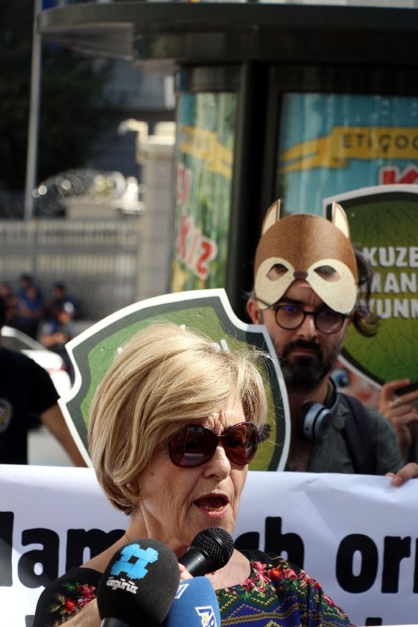 Çevreciler Almanya'yı protesto ettiler 7