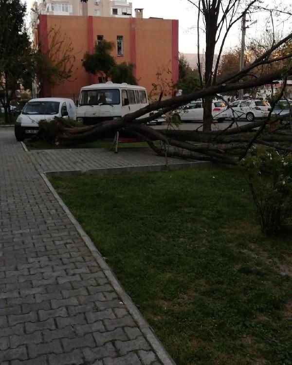 İzmir'de şiddetli rüzgar hayatı olumsuz etkiledi 5