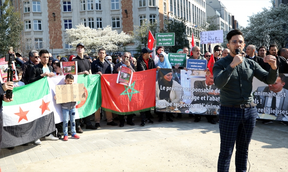 Belçika'da helal ve koşer kesim yasağı protestosu 6