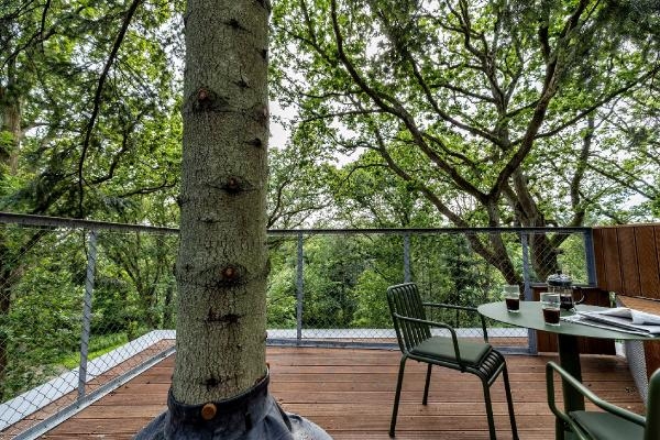Danimarka’nın Randers şehrinde Ağacın üstüne otel yaptılar 7