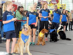 Almanya’da iki gün süren Köpek Fuarı'nda 4 bin köpek güzellikte yarıştı