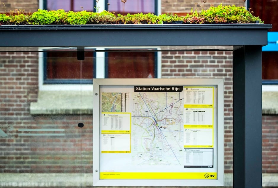 Hollanda’da otobüs durakları yeşillendi 2