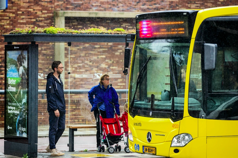 Hollanda’da otobüs durakları yeşillendi 3