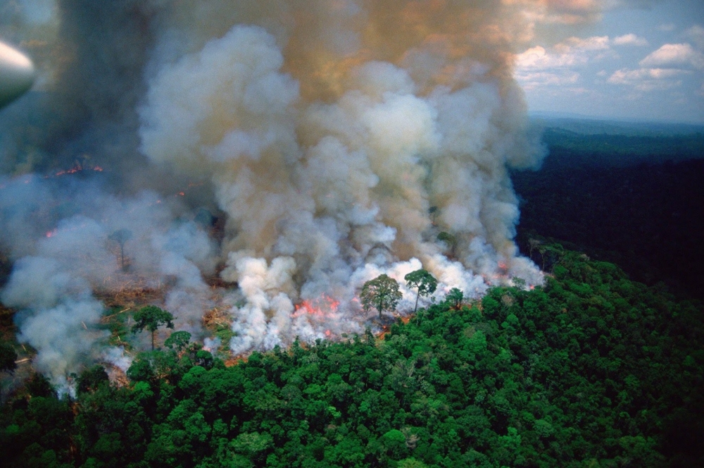 Amazon yangınları uzaydan görüntülendi 7