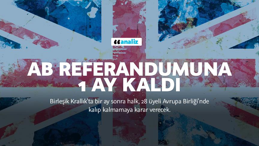 İngiltere'de AB referandumuna 1 ay kaldı