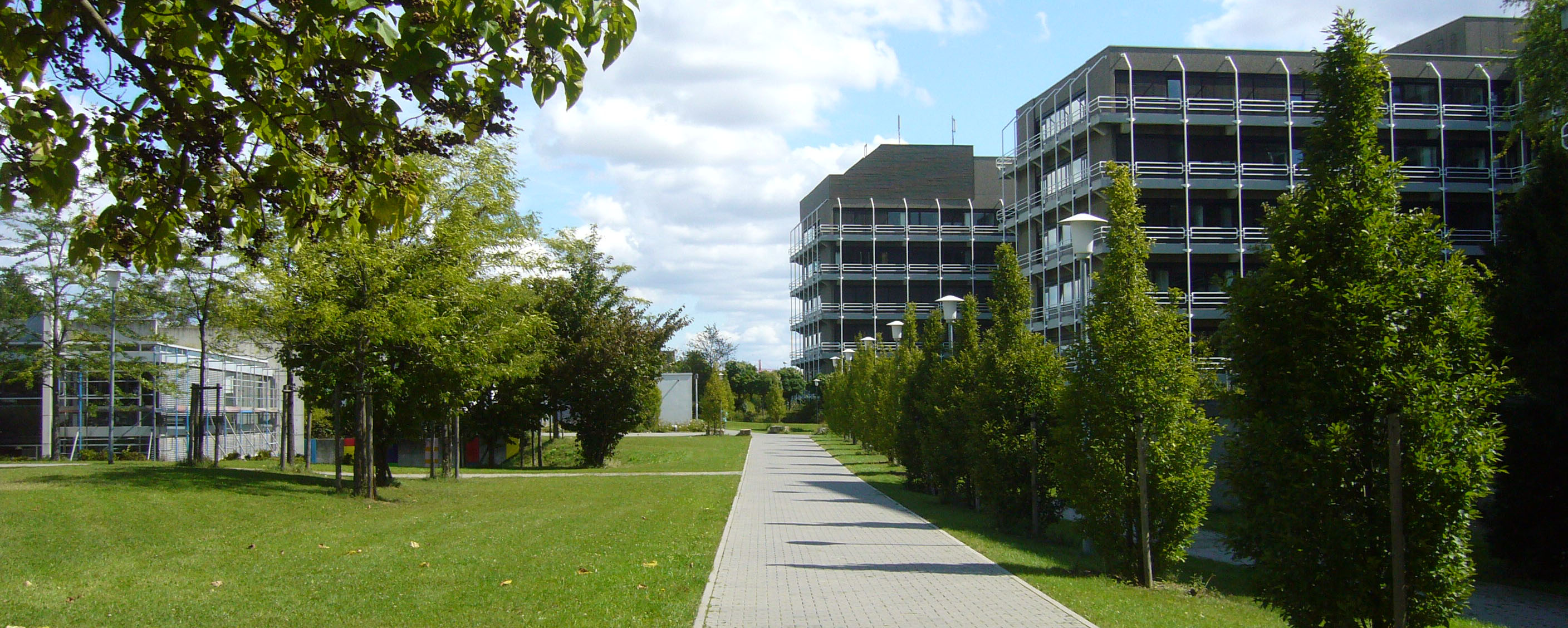 Mainz Üniversitesi'nde 'Anadolu' rüzgarı