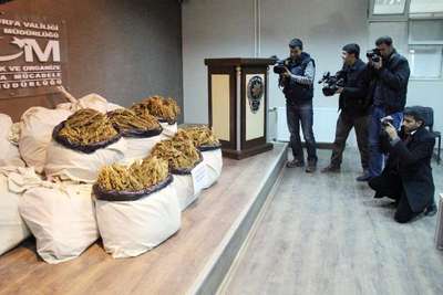 Şanlıurfa'da 300 kilo 600 gram esrara 1 tutuklama