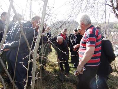 Fındıkta verim için 'tarla okulu' uygulaması