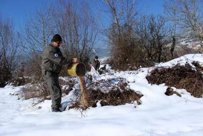 Karda yiyecek bulamayan hayvanlar için yemleme yapıldı