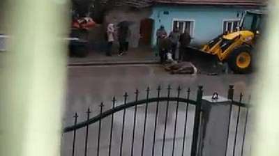 At, kepçeyle kamyona böyle atıldı