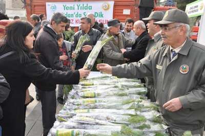 ÜCRETSİZ FİDANLAR KAPIŞILDI