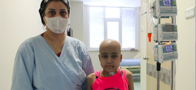 Almanya'dan getirilen ilikle hayat tutundu
