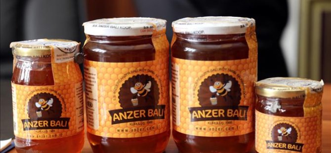Anzer balının kilosu 900 lira