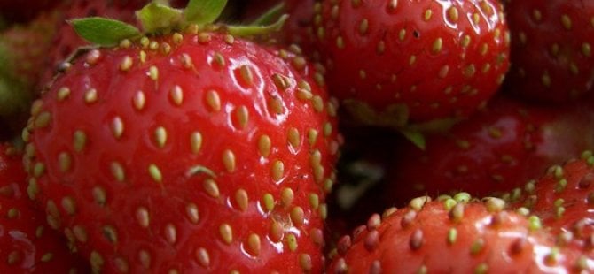 Lidl ve Demeter’in organik çilekleri tartışma yarattı