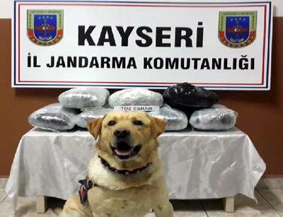Jandarmadan trende esrar operasyonu