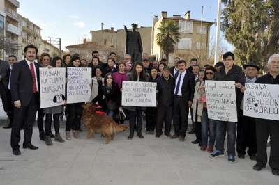 Arazide leşi bulunan 84 köpek, taşınırken araçta boğulmuş (3)