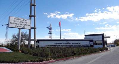 Tarım arazisine yapılacak şehir hastanesi mahkemelik oldu