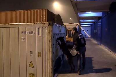 Mersin Limanı'nda 7 kilo kokain ele geçirildi