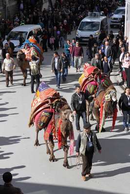 Balıkesir'de develi korteje yoğun ilgi