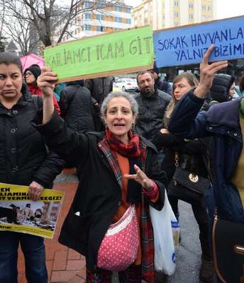 Uluslararası konferans hayvanseverler tarafından protesto edildi
