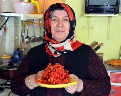 ‘Gilaboru’ her derde deva