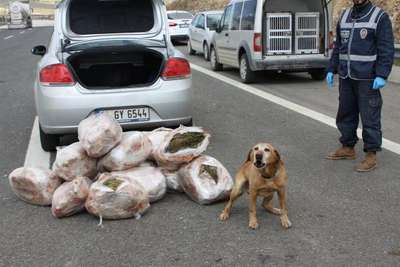 Gaziantep'te 81 kilo esrara 1 tutuklama