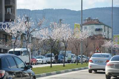 Bursa’da bahar, Uludağ’da kar