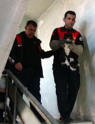 Kedi kurtarma operasyondu