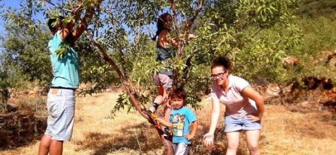 Ücretsiz ekolojik tatil imkanı