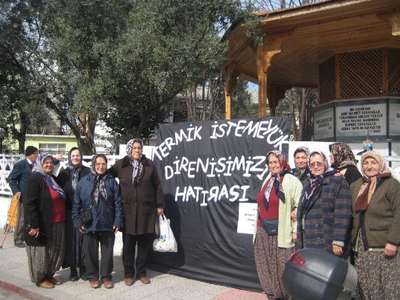 Gerze'deki termik santralde zafer çevrecilerin