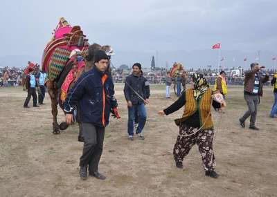 DEVESİ GÜREŞİRKEN HEYECANDAN YERİNDE DURAMADI