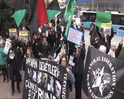 'Köpek Nüfusu Yönetimi' konferansı protesto edildi