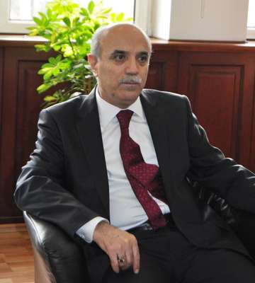 Orman Bakanlığı Müsteşarı: Sokak hayvanları şehirleşmenin problemi