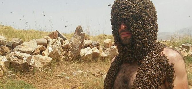Arılarla Guinness'e girmek istiyor
