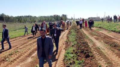 Harran'da Özgecan Aslan anısına hatıra ormanı