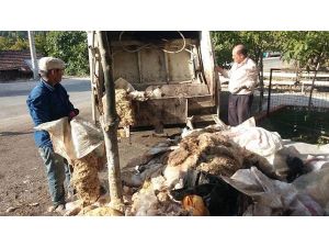 Camiye bağışlanan deriler kurtlanınca çöpe atıldı