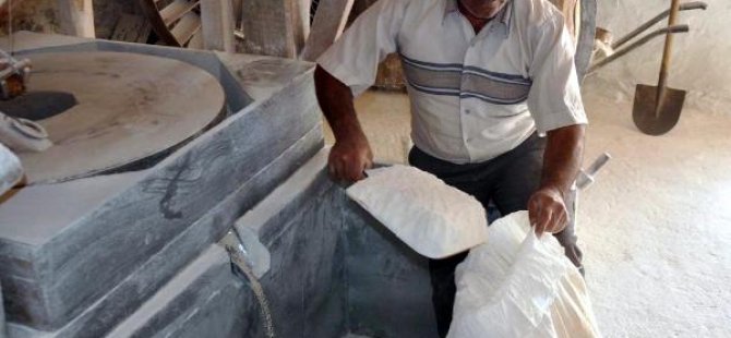 Almanya'dan Türkiye'ye gelip buğday öğütüyorlar