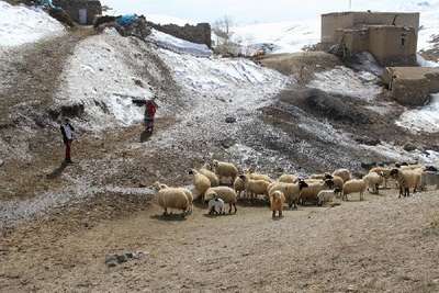 Eşi kurt saldırısında öldü, 4 kızıyla yaşam mücadelesi veriyor