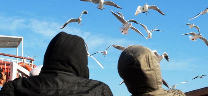 Martıya simit atarken denize düştü