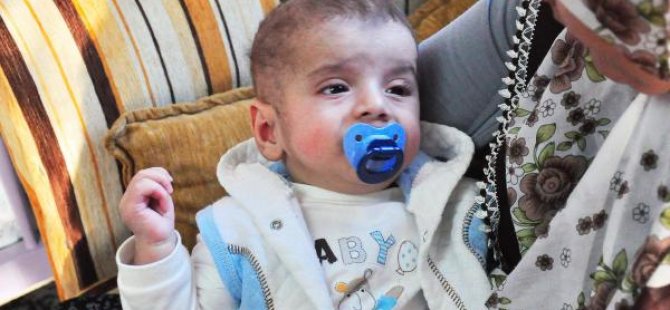 Salih bebek uygun ilik arıyor