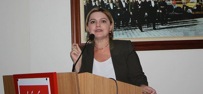 Böke: Türk lirası neden değer kaybediyor?